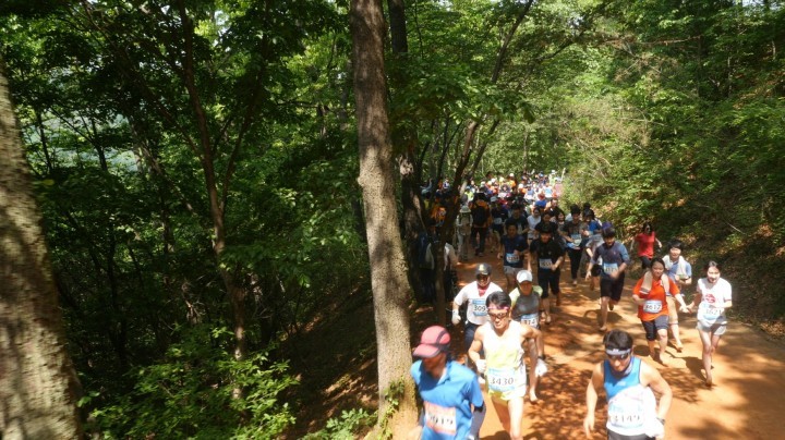 맥키스컴퍼니, 2015계족산 맨발축제 성료