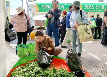 영양군 ‘제18회 영양산나물축제’ 12만여 명 인파로... 성황리 마무리