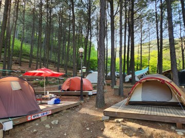 보성군, 제2회 전남도지사배 숲속 캠핑대회 팡파르