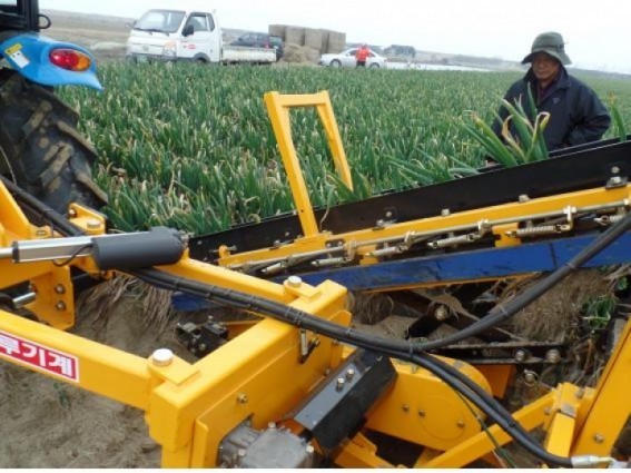 대파 수확기 연시 실시