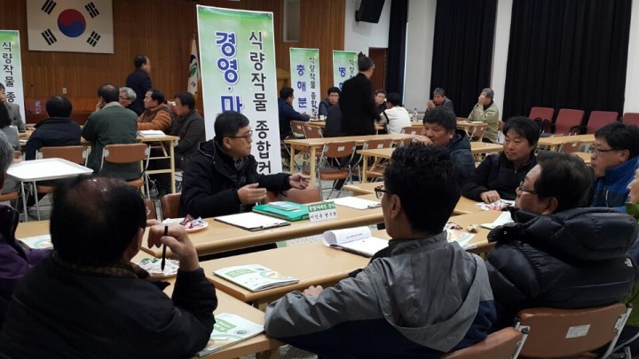 고령군 농업기술센터 영농현장 애로기술 해결 옥수수 종합컨설팅 진행
