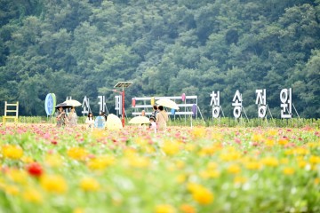 청송군, ‘산소카페 청송정원’ 건강을 키우는 명소로 주목받아