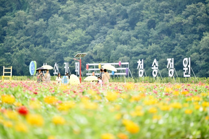 청송군, ‘산소카페 청송정원’ 건강을 키우는 명소로 주목받아