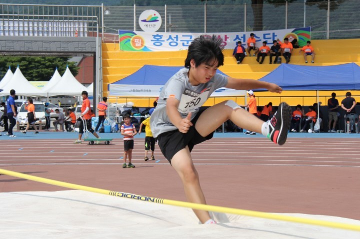 충남교육청, 2015 충청남도장애학생체육대회 개최