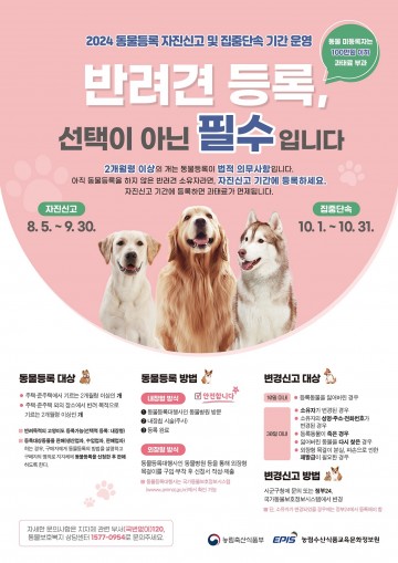 대전시, 반려동물등록 자진신고 기간 운영