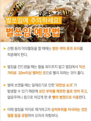 광양소방서, 벌 쏘임 등 안전사고 예방 당부