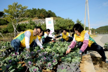 ‘2026여수세계섬박람회’ 성공기원, 화양면 도시숲 겨울 정원 조성