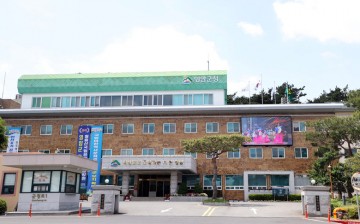 영암군, 청년의 날 '오늘은 그린데이야' 행사 개최