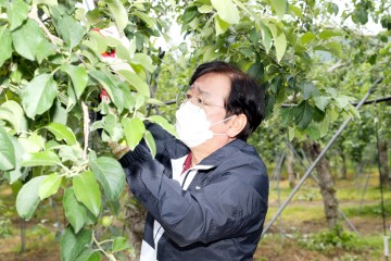 권영세 안동시장, 봄철 농촌 일손 돕기 나서
