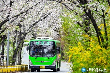 대전 중구, 테미공원 벚꽃…봄꽃 명소 조성