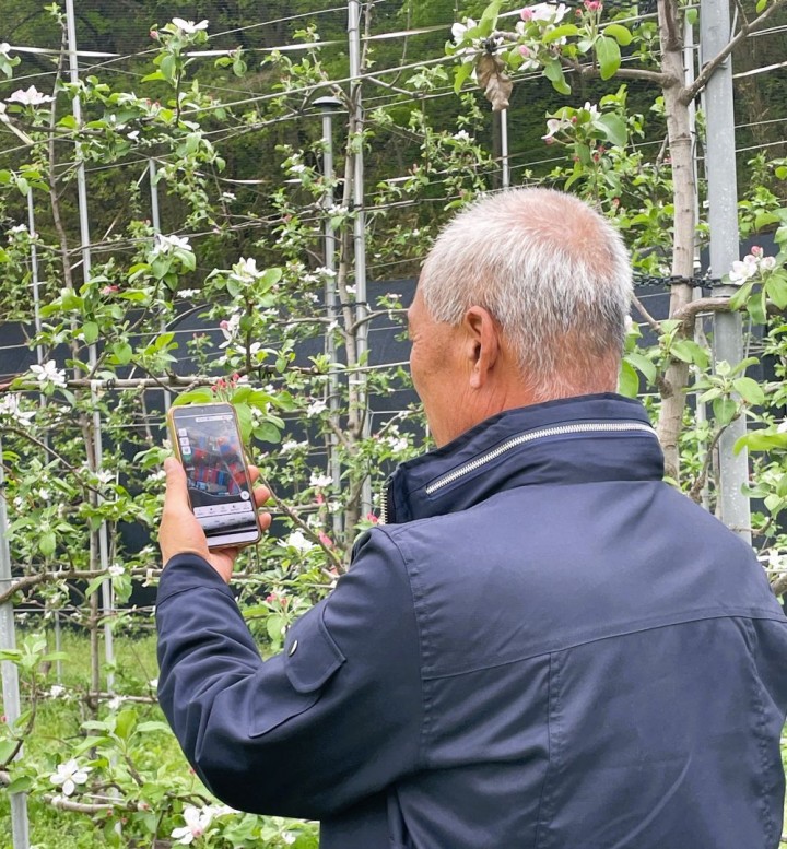 장성군. 사과·배 화상병 예방 약제 지원
