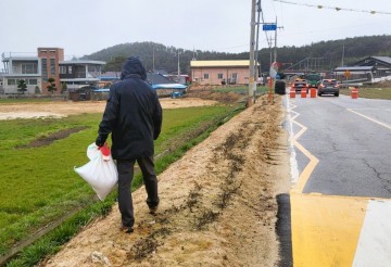 장성군 진원면, ‘코스모스 10리 꽃길’ 조성