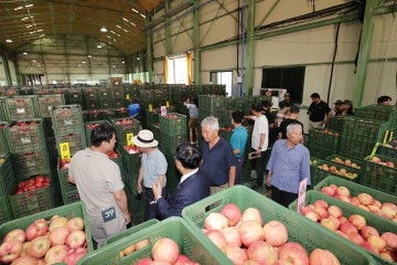 청송군, '농산물공판장 개장'하고 2023년산 사과 경매 시작