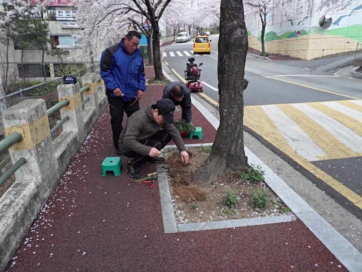 북구 덕천1동 봉사단체, 아파트 단지내 초화식재