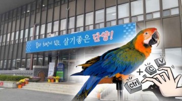 단양군 공무원노조 사이비언론 보도자료 배포 논란