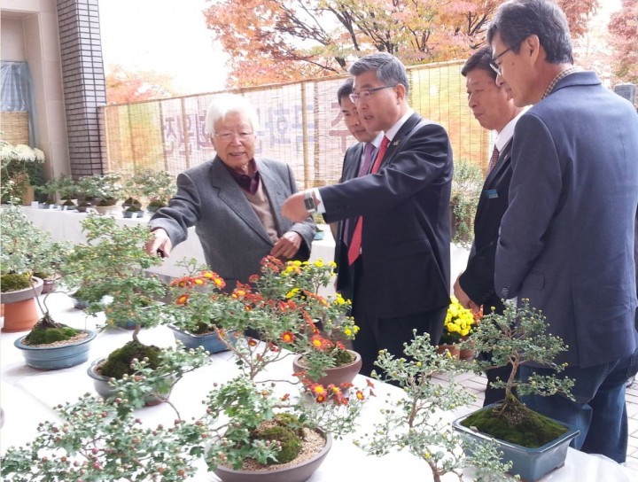 여주시, 제11회 국화분재 전시회 개최