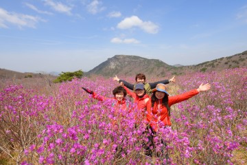 달성군 4월 21일~22일 제22회 비슬산참꽃문화제’ 개최.