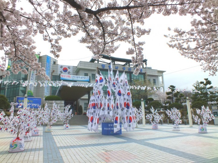 창원시, 광복 70년 태극기 사랑 70일 운동 전개
