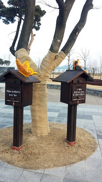세종호수공원, 느린우체통 인기몰이!