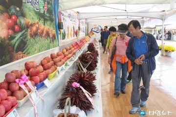 2017 곤충나라 Clean 예천 농산물대축제 준비 분주