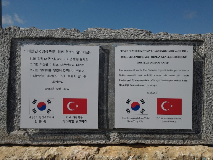 경북도-터키 우호의 숲 조성, 국제교류 발판 마련