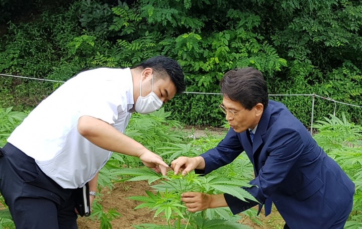 [기고문]김문년 계명대 객원교수