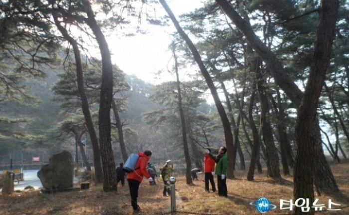 포항시,시설관리공단, 소나무재선충 예찰 및 예방활동 펼쳐