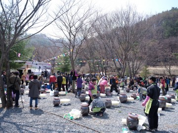  영주브랜드 콩 “부석태”남대리 부석태 전통된장 체험행사