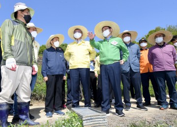 이철우 도지사, 풍년농사 시작... 모내기 소통으로 현장 공감