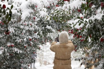 신안군, 목포시민 1004섬 분재정원 관람료 할인 시행  