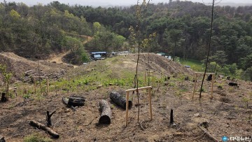 울진군 600ha 조림 사업 추진, 산림 녹화 본격적으로 시작