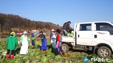 대한민국무공수훈자회 충청북도지부, 농가 배추 수확 봉사활동