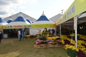 대한민국 산림문화박람회 영주 서천둔치서 29일까지