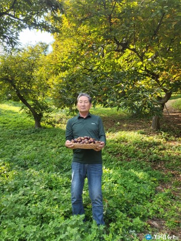 충주시 권혁용씨, ‘2024 대한민국 대표과일 선발대회’ 밤 부문 최우수상 수상