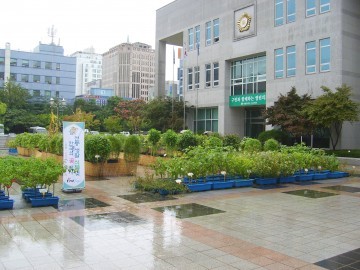 대전 서구, 8월 말까지 전통작물․우리꽃 전시