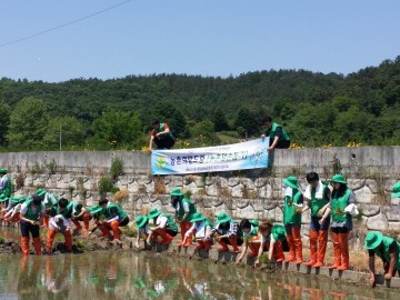직장·공장대전광역시새마을협의회, Y-SMU포럼과 함께 모내기봉사