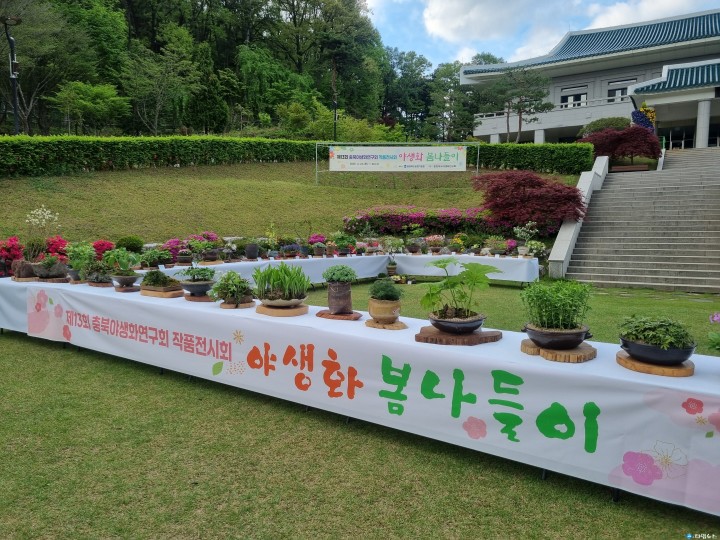 대통령의 정원서 피어난 우리 꽃의 미학... ‘제15회 야생화 봄나들이’ 개막