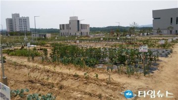 예천군, 신도시 입주민 텃밭 분양 신청 시작