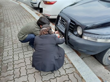 봉화군, 자동차세 체납차량 번호판 오는 6월 9일까지 집중 단속 나서