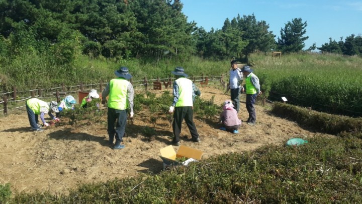 옥산면 청암산 주변 경관 조성 작업 시행