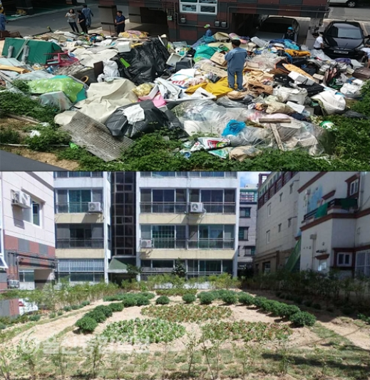 무단투기 취약지역 힐링 꽃동산 조성