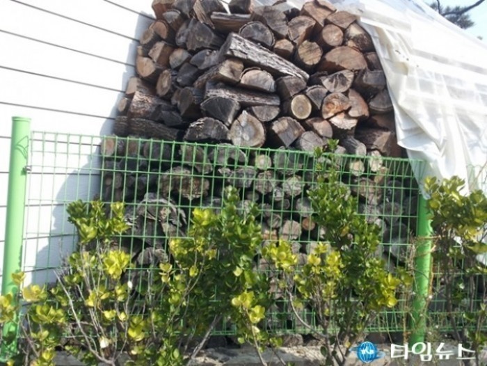 포항시, 소나무류 무단 이동 및 취급 단속 실시