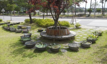 영주 가흥2동 연꽃 사진 콘테스트 개최