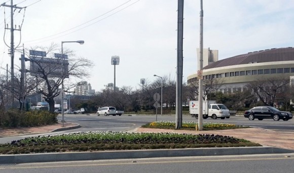 군산시, 봄맞이 새 단장 가로환경 정비  