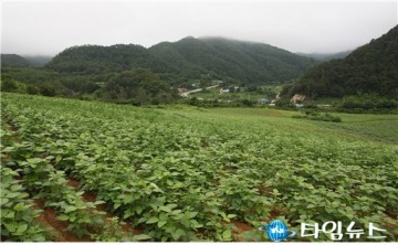 2019 울진 콩아카데미 수강생 모집