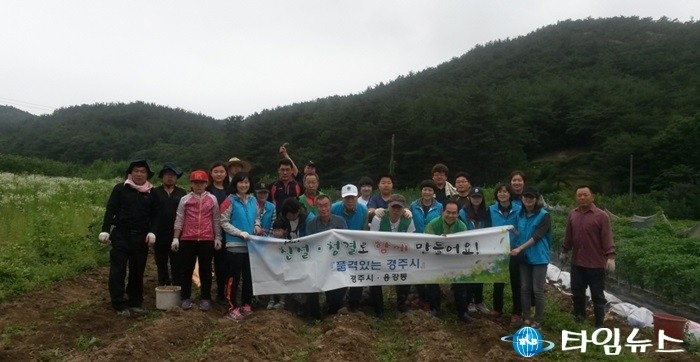 경주시 휴경지의 선물