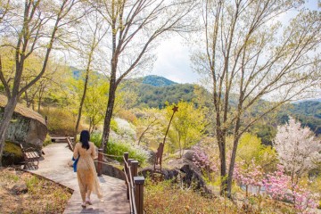 구례수목원, 산림청 선정 ‘2026년 꼭 가봐야 할 수목원 10선’ 쾌거 