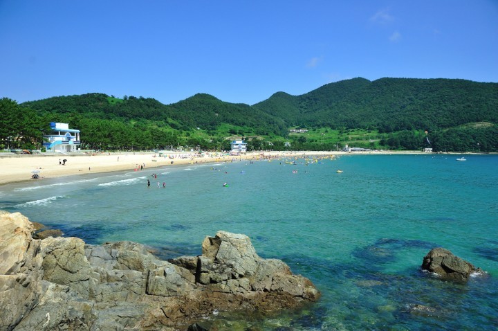 남국의 정취 ‘물씬’, 남해군 송정솔바람해변, 10일 개장