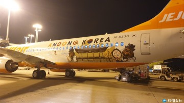 안동 항공기 외관에 안동의 탈과 누각 랩핑, 전세계 돌며 안동 홍보