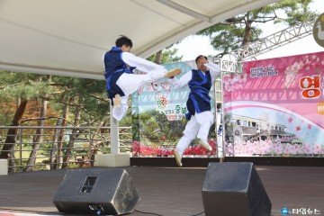 제16회 청남대 봄꽃축제 영춘제 5.12까지 다채로운 문화예술공연, 전시, 체험, 이벤트  